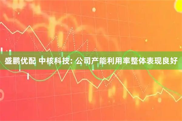 盛鹏优配 中核科技: 公司产能利用率整体表现良好