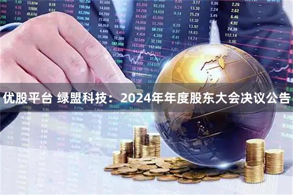 优股平台 绿盟科技：2024年年度股东大会决议公告