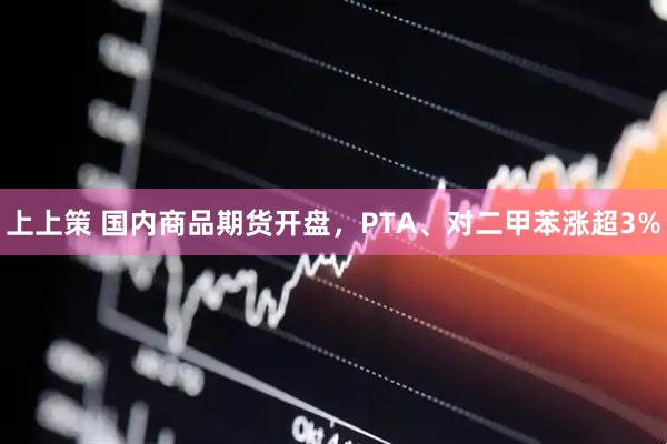 上上策 国内商品期货开盘，PTA、对二甲苯涨超3%