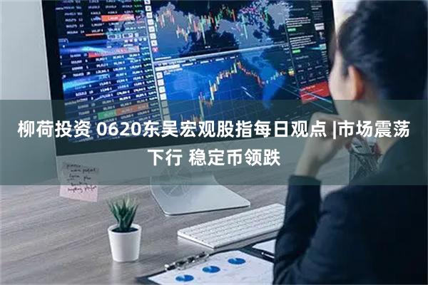 柳荷投资 0620东吴宏观股指每日观点 |市场震荡下行 稳定币领跌
