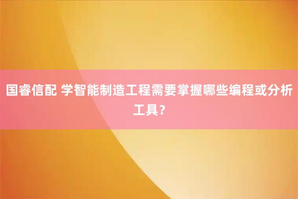 国睿信配 学智能制造工程需要掌握哪些编程或分析工具？