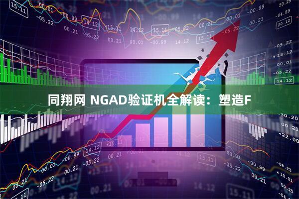同翔网 NGAD验证机全解读：塑造F